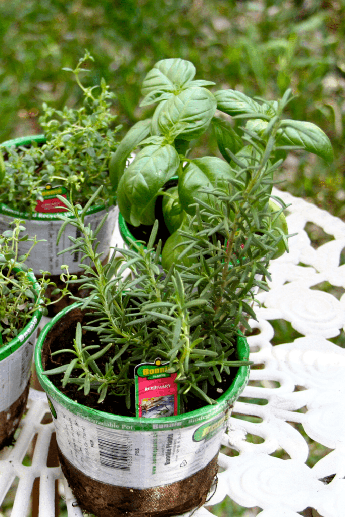 DIY Repurposed Kitchen Canister Idea - Makes and Munchies