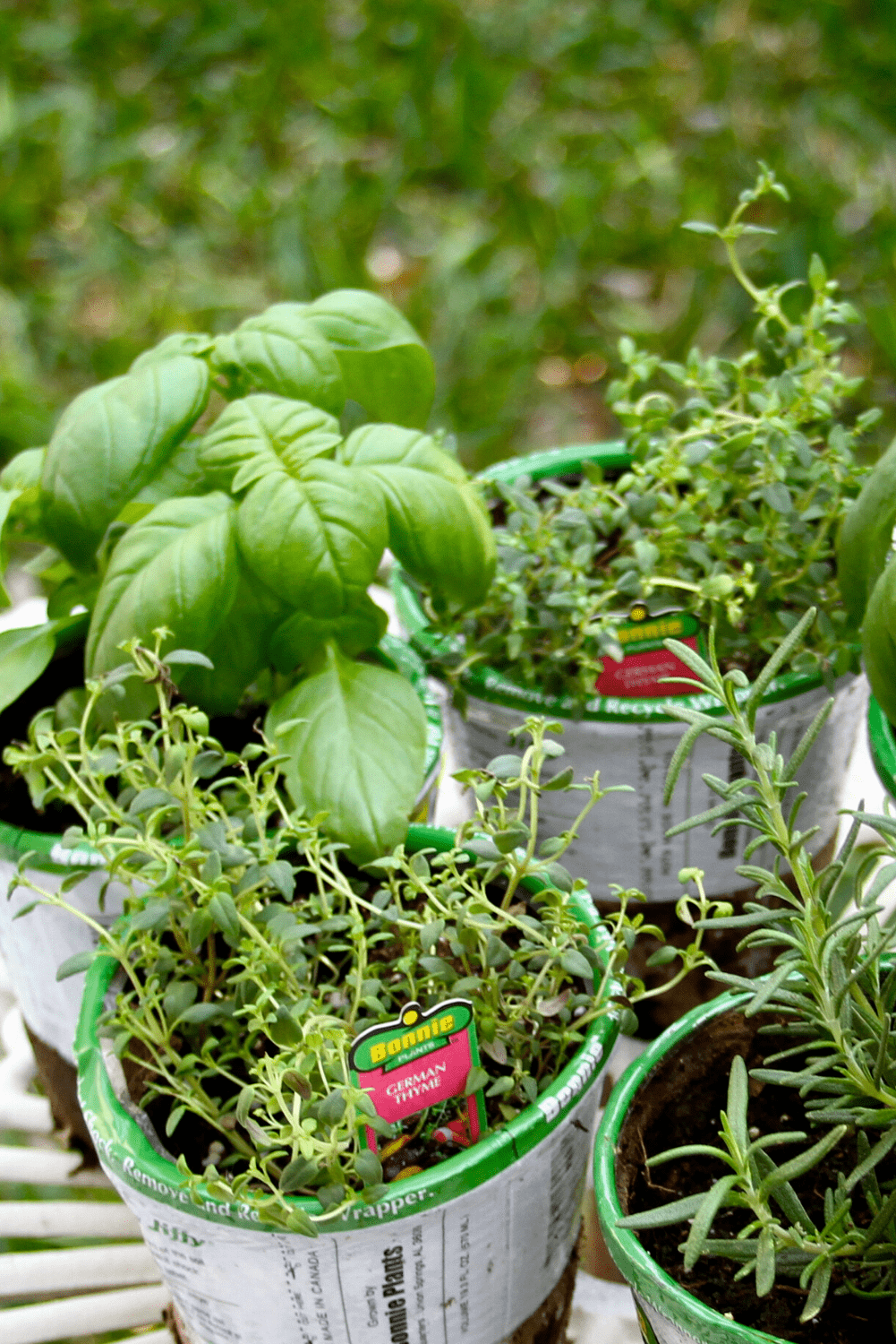 DIY Repurposed Kitchen Canister Idea Herbs