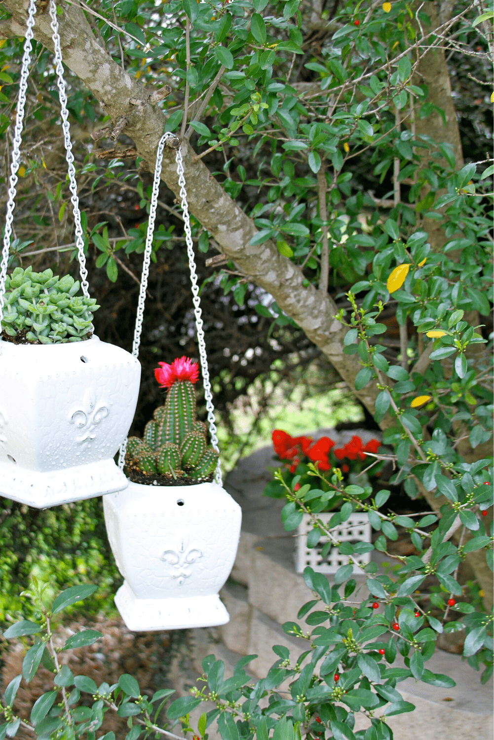 Repurposed Candle warmer into hanging  flower pots