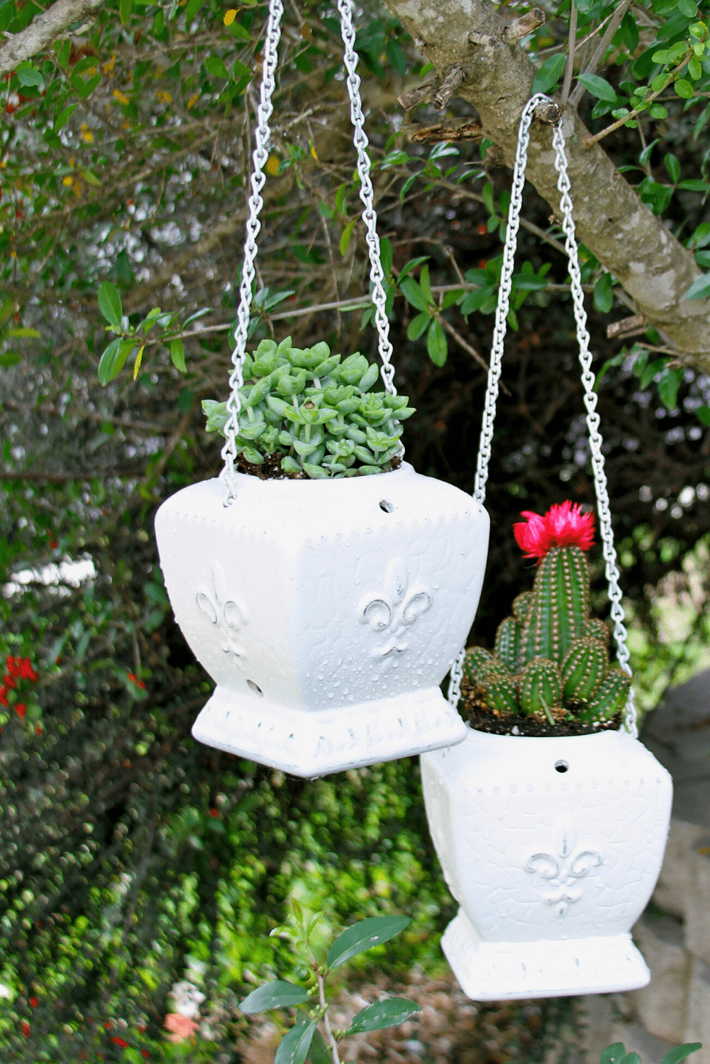Repurposed Candle warmer into hanging  flower pots