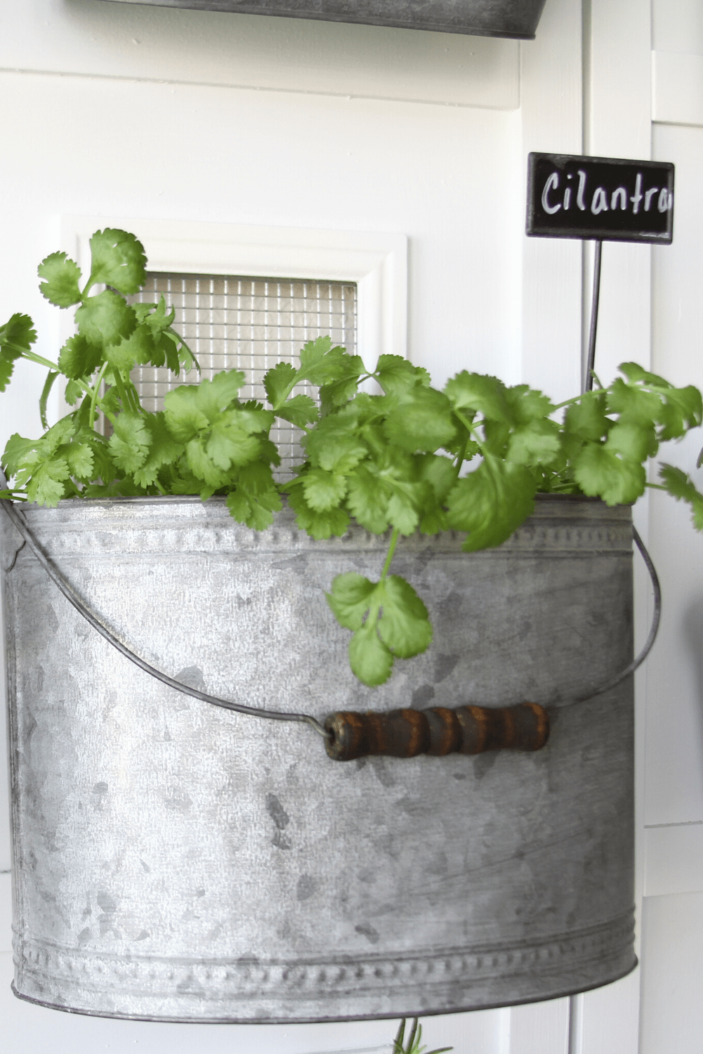 Room Separator Repurposed into an Indoor Herb Garden