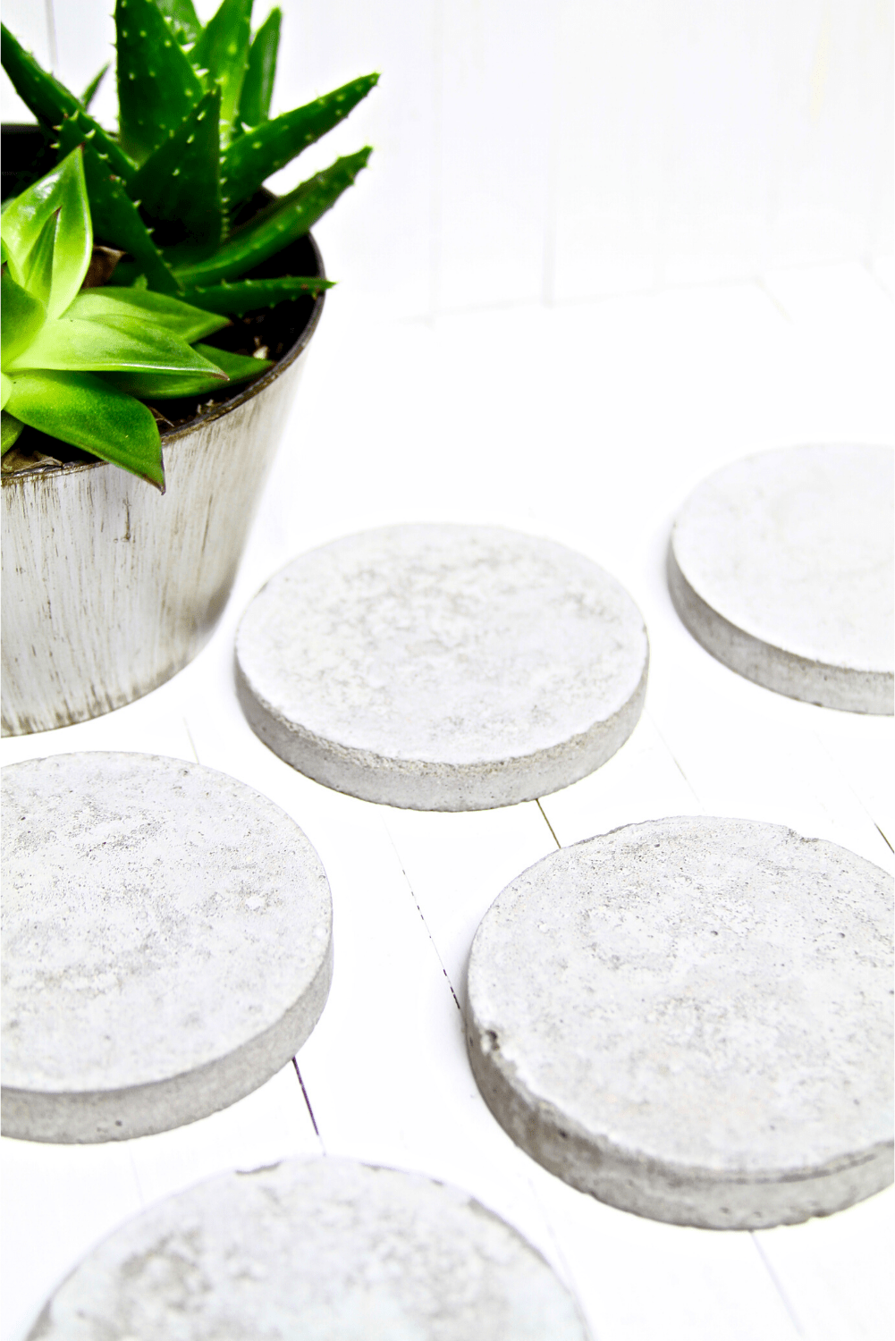 How to Make Simple Concrete Coasters - Makes and Munchies